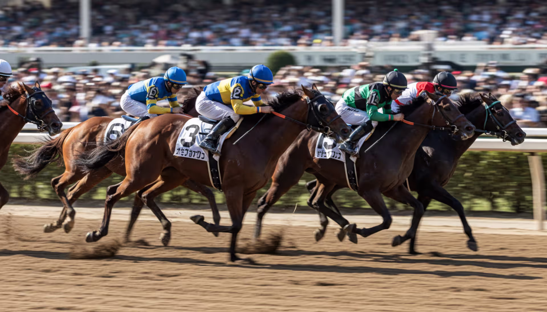 Thoroughbred racehorses with jockeys galloping at full speed during a race on a dirt track with blurred grandstands in background
